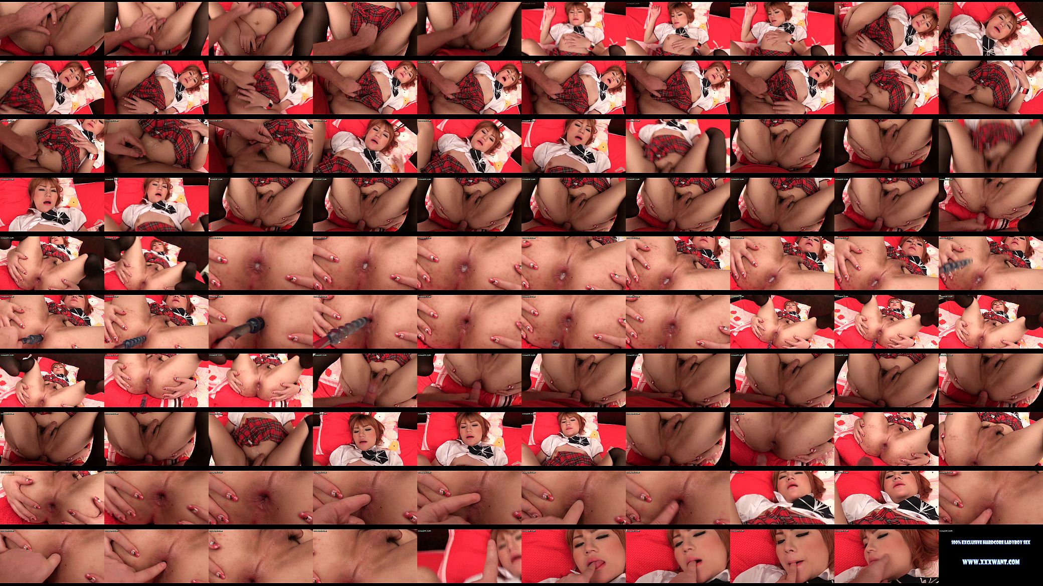 Shemale teenie in uniform enjoys anal sex 预览图