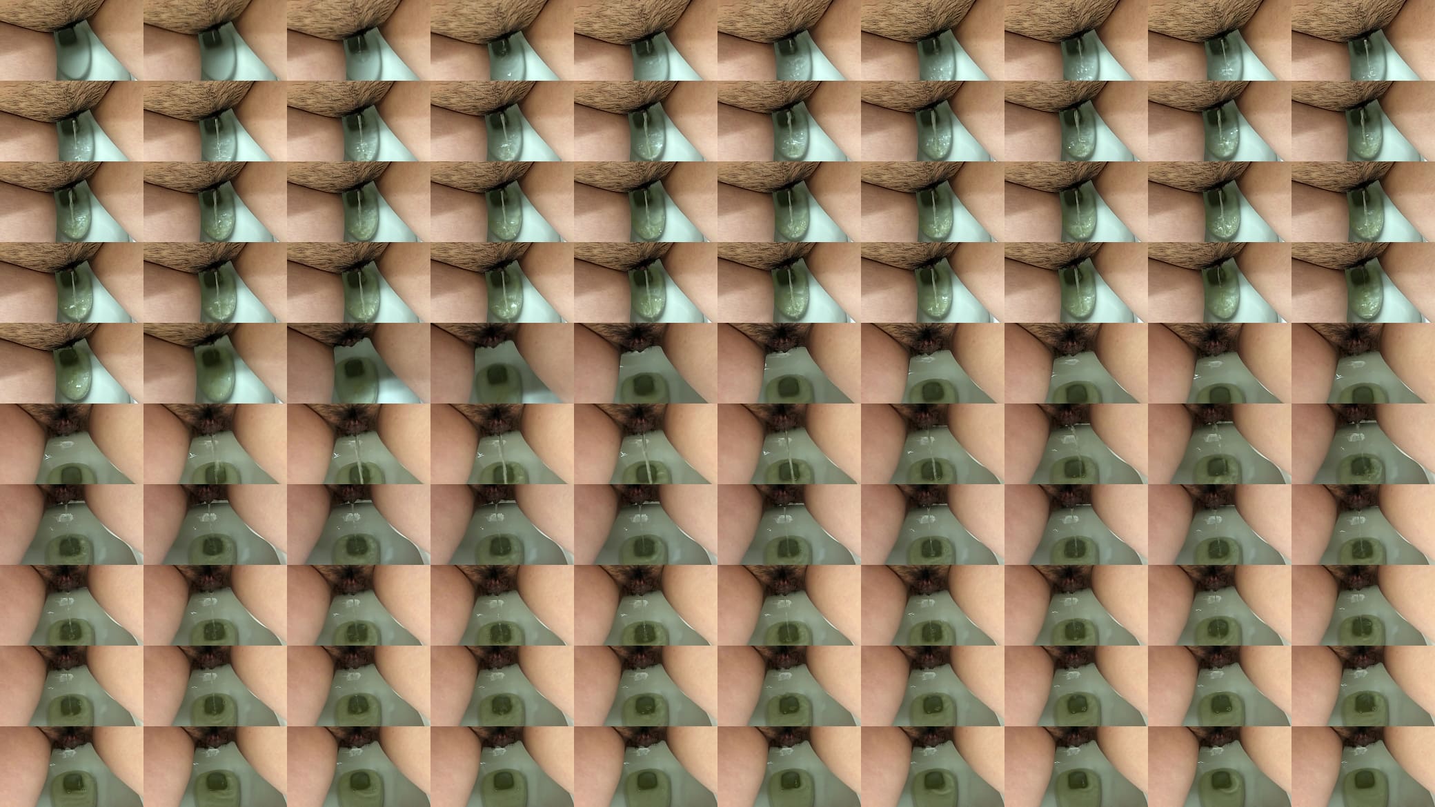pee 预览图