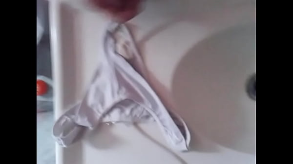 edition panties