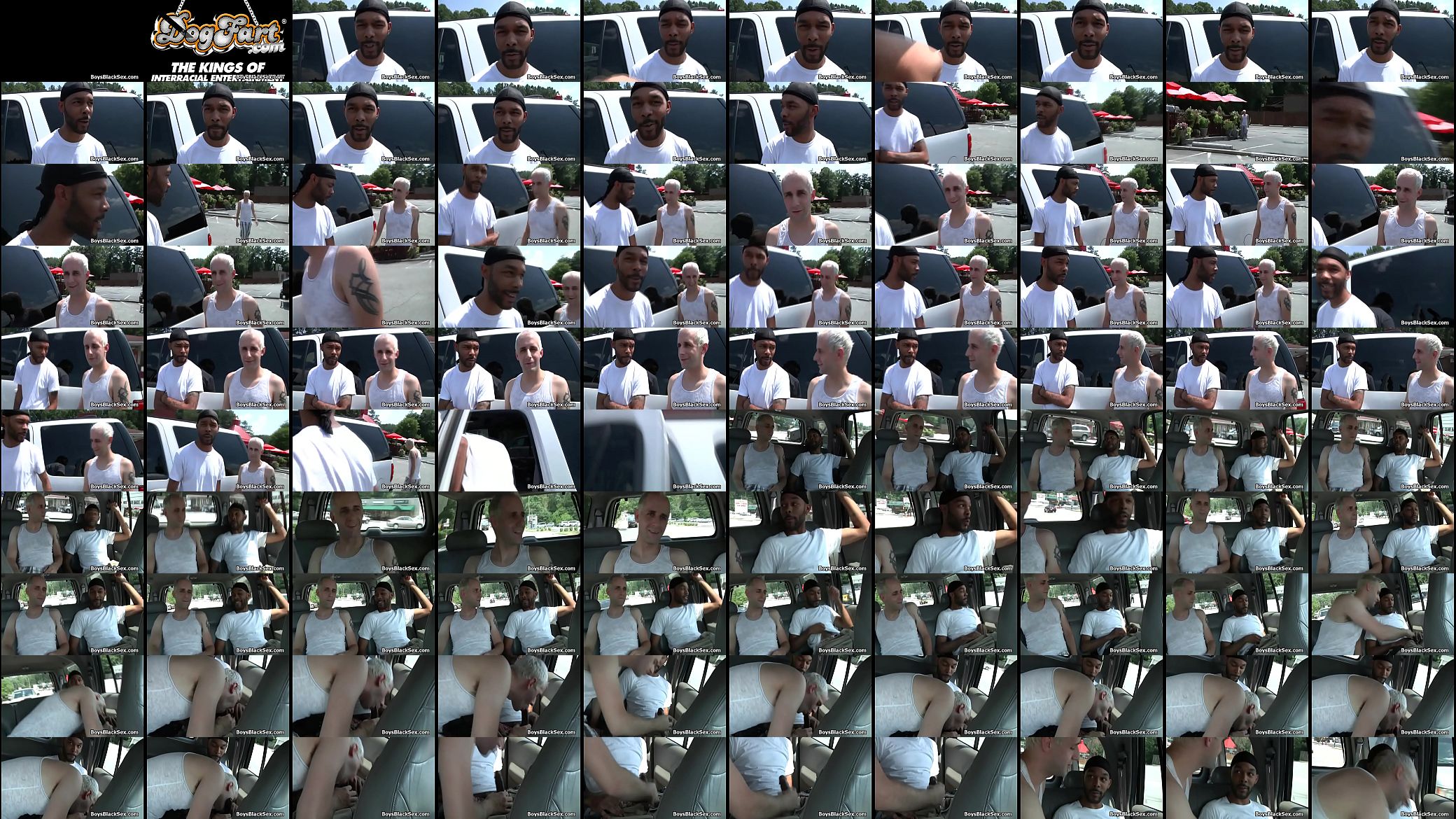 Blacks On Boys - Hardcore Gay Fuck Scene Video 07 预览图