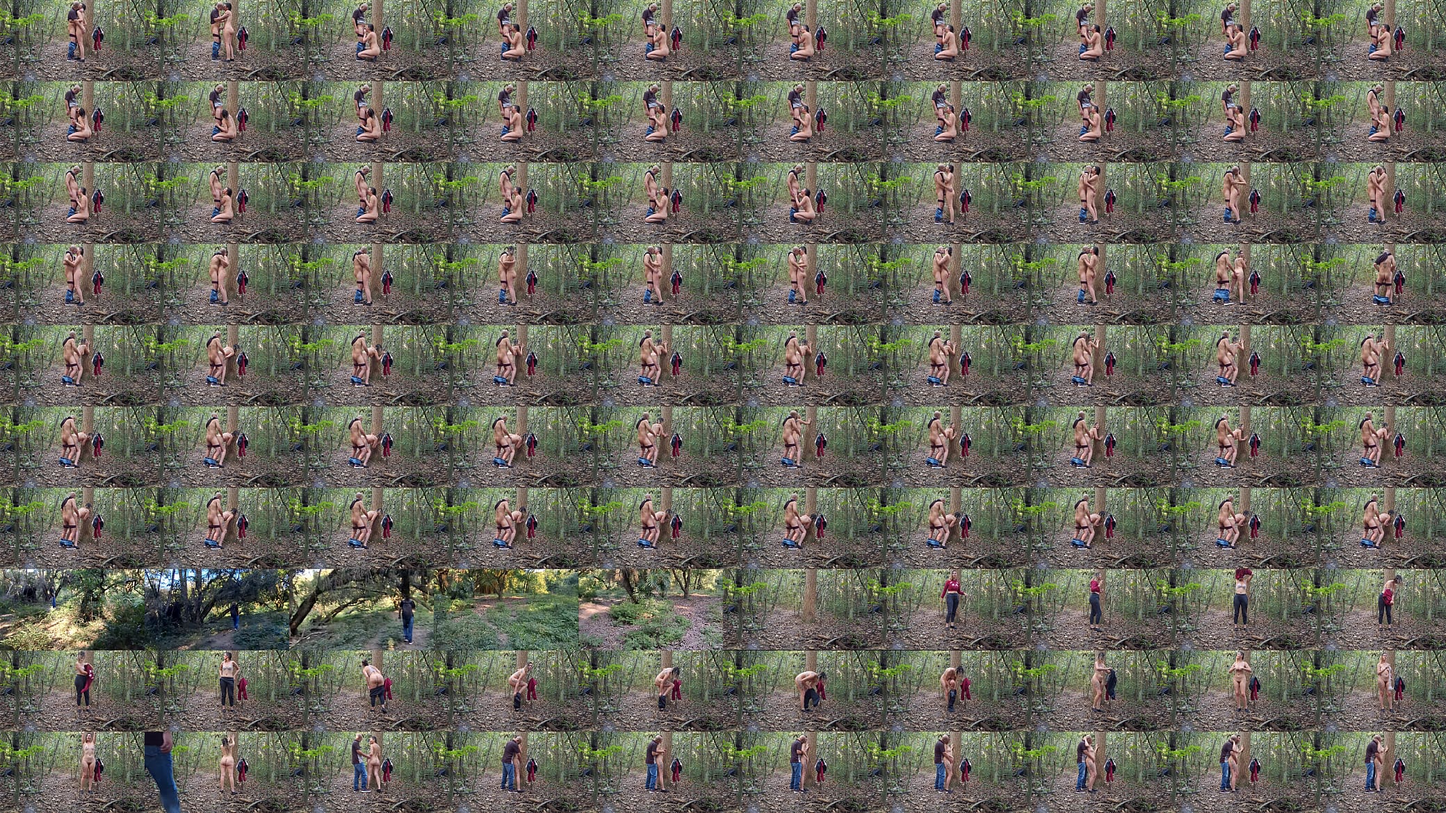 I met a stranger while I was naked in the woods. 预览图