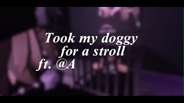 Download Video - lonely puppy finds a new owner and Home