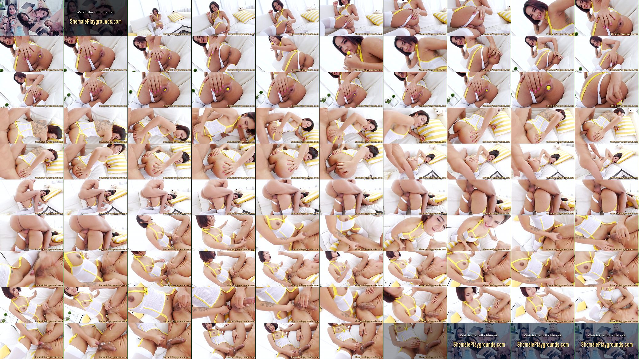 Shemale raw banging ass 预览图