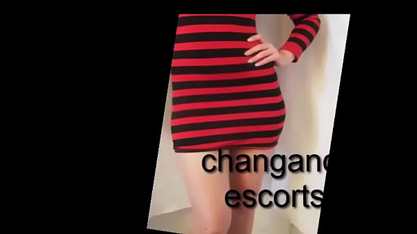 Prepaid Ladies company Cuenca 0987 874 446