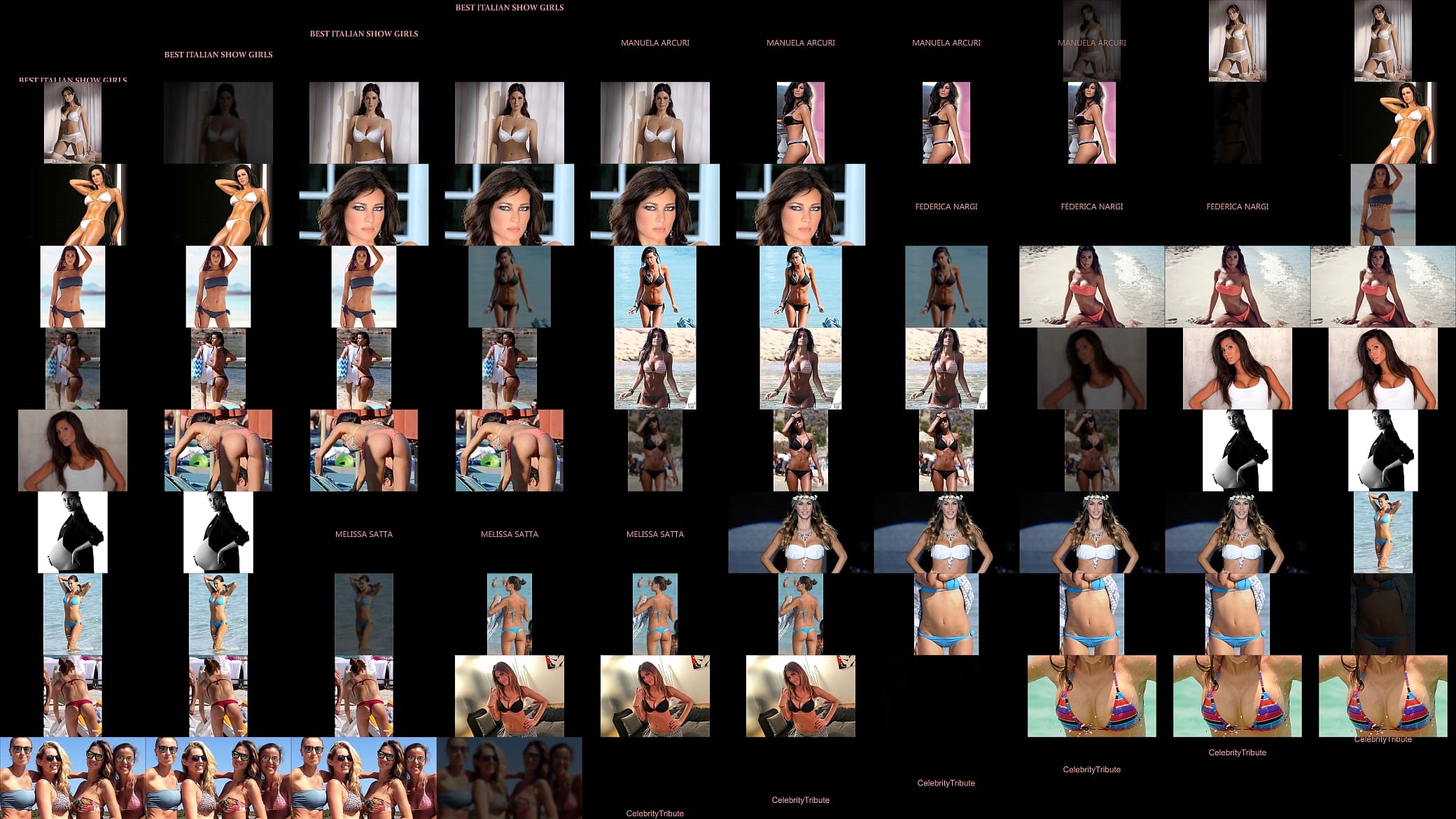 Italians Show Girls Tribute 预览图