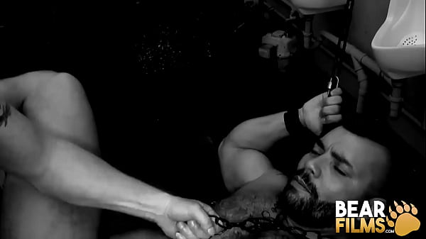 Download Video - BEARFILMS Hairy Owen Powers Anal Plays With Huge Dildo Solo
