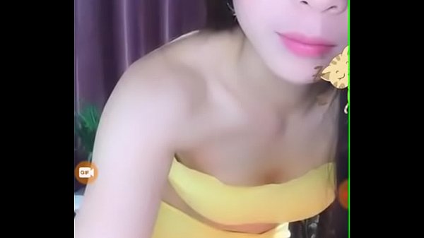 Chinese model