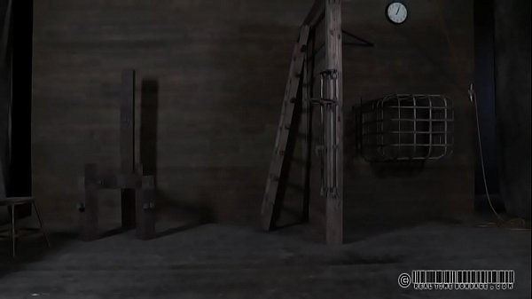 xv-8f808d051c5f987e626129d0f14562ed