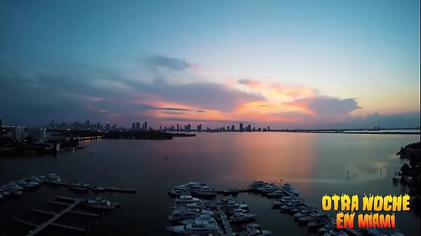 Another Night in Miami - Bad Bunny