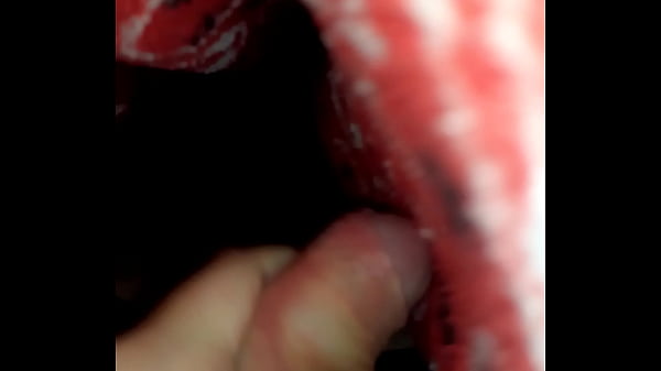 Download Video - La fuente de leche