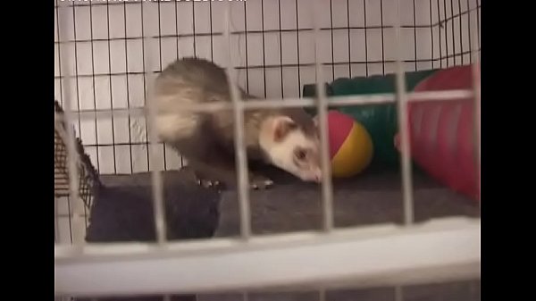 Teen playgirl gets totally seduced into a hot fuck act