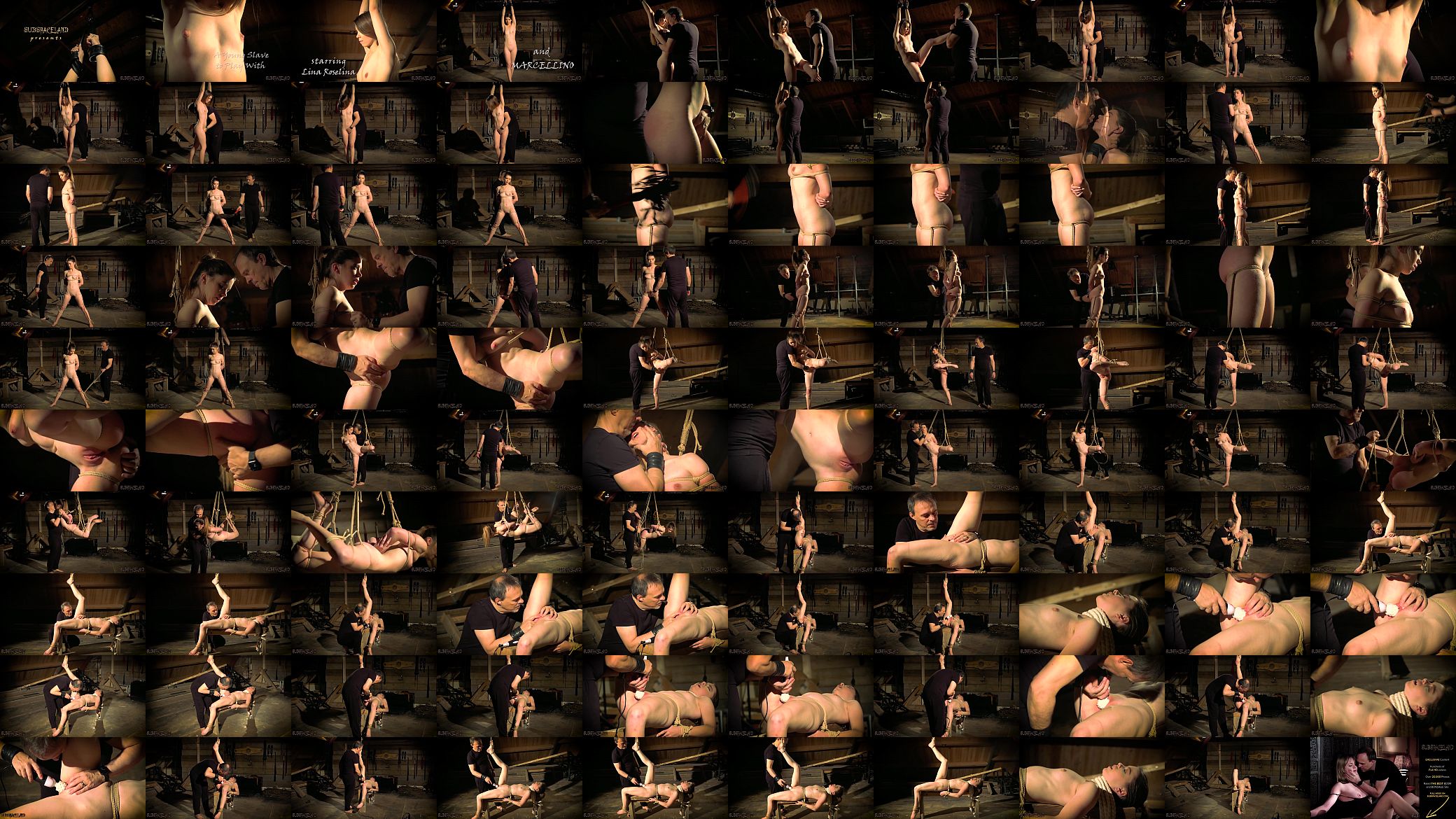 Tied up in hardcore bdsm 预览图