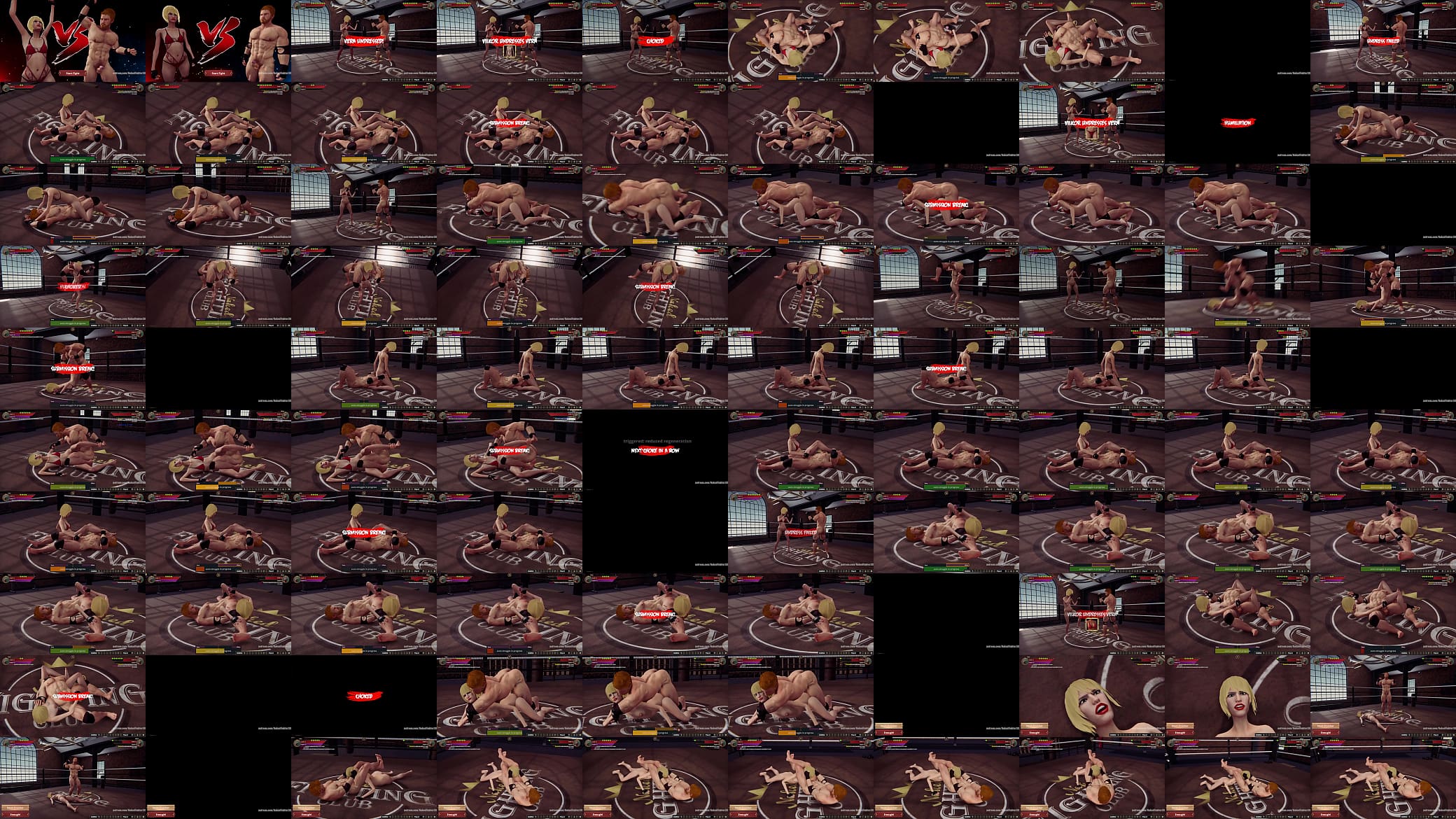 Vera VS Vilkor (Naked Fighter 3D) 预览图