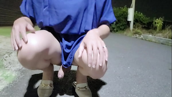 Download Video - 【伪娘】在路旁放尿手冲