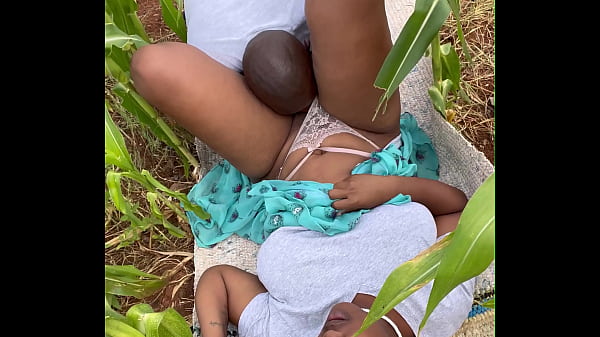 Farm Work