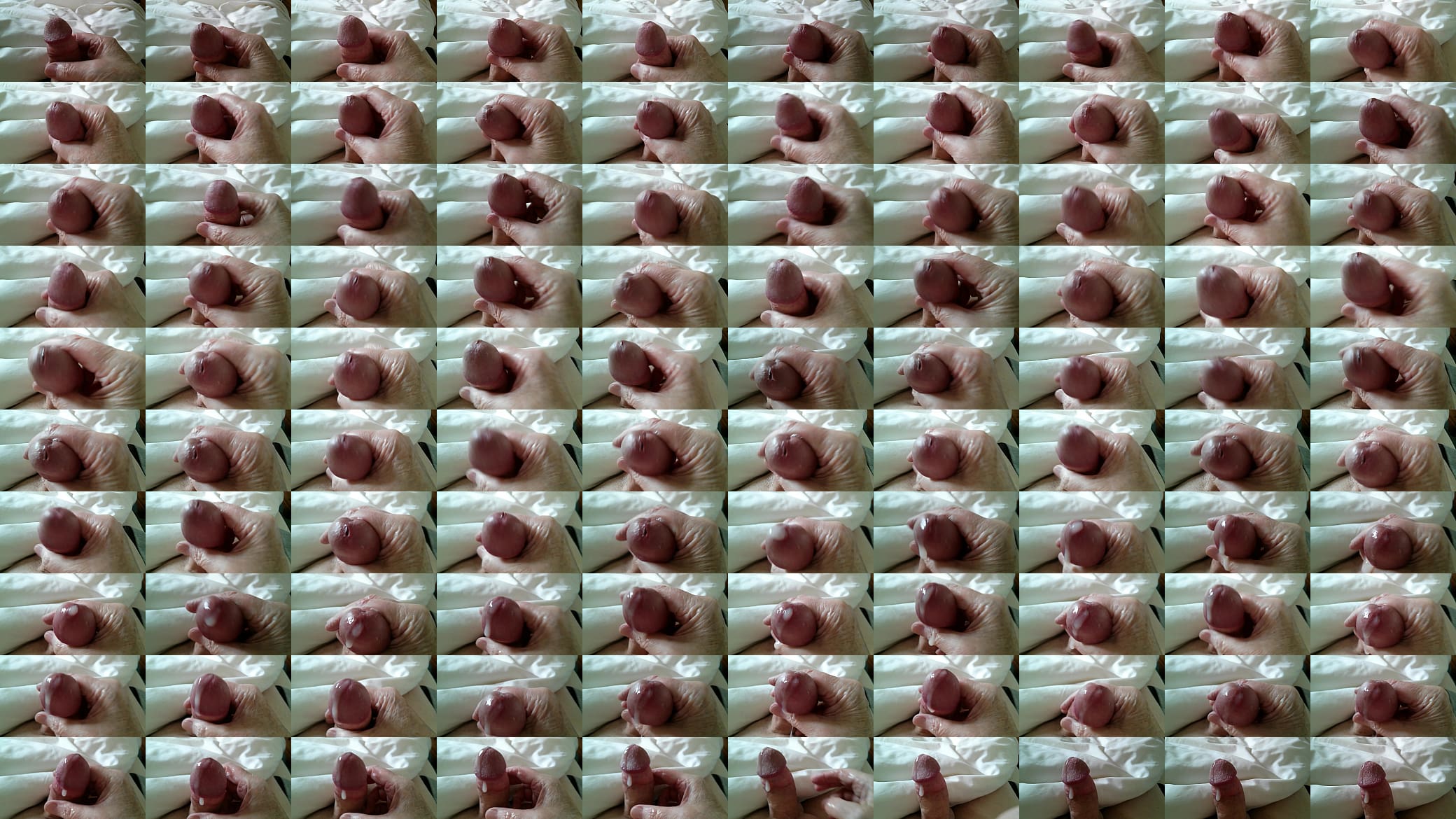 Wanking to porn 预览图