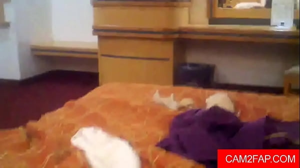 Pussy Free Amateur Webcam Porn Video