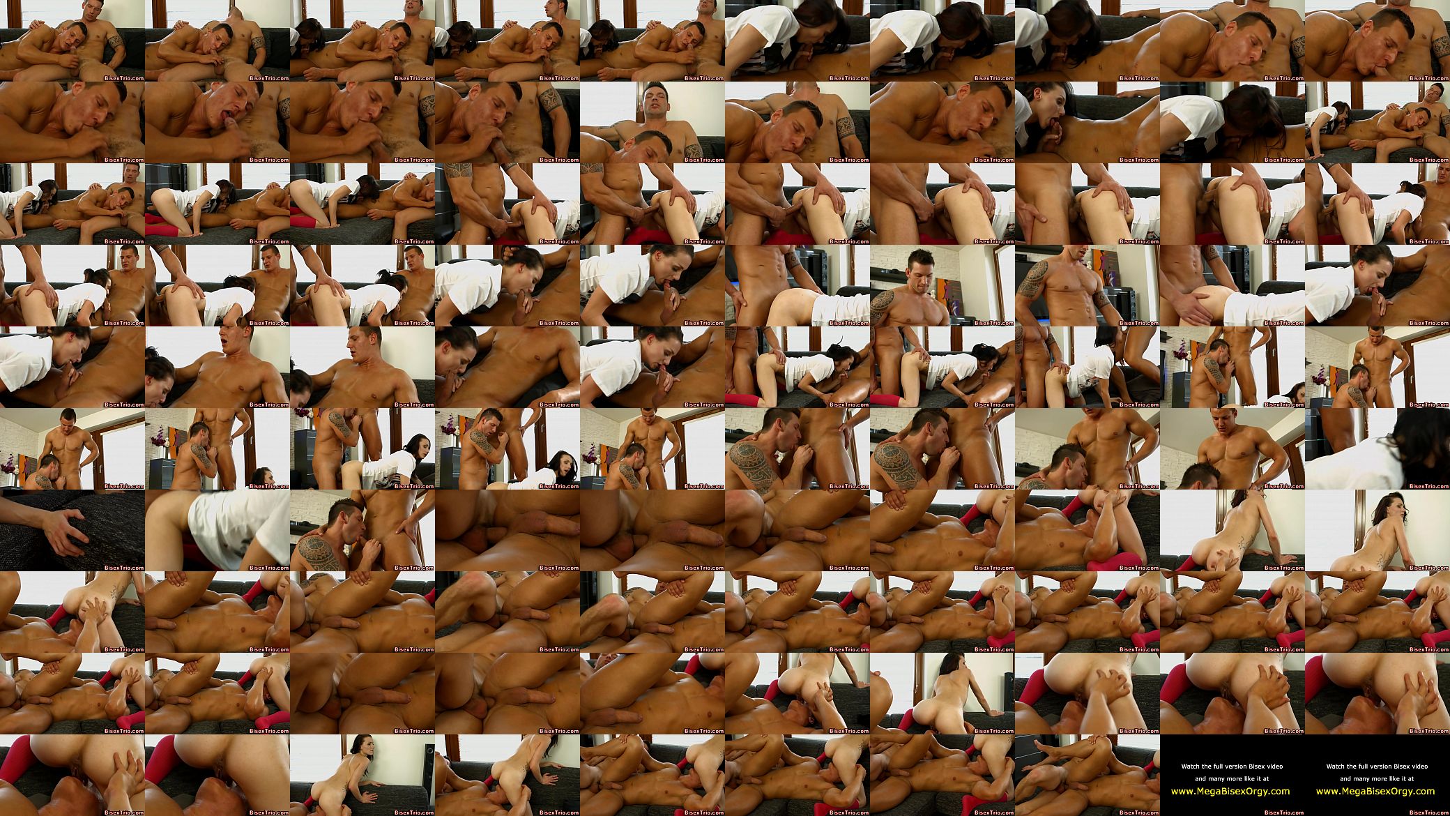 Bisex babes pussy fucked 预览图