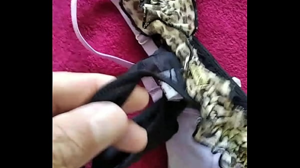 Algumas calcinhas da minha mulher que uso