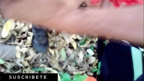 Download Video - Every day I am more bitch&period; Fucking in the bush with a black farm worker with a big cock that penetrates my hungry ass