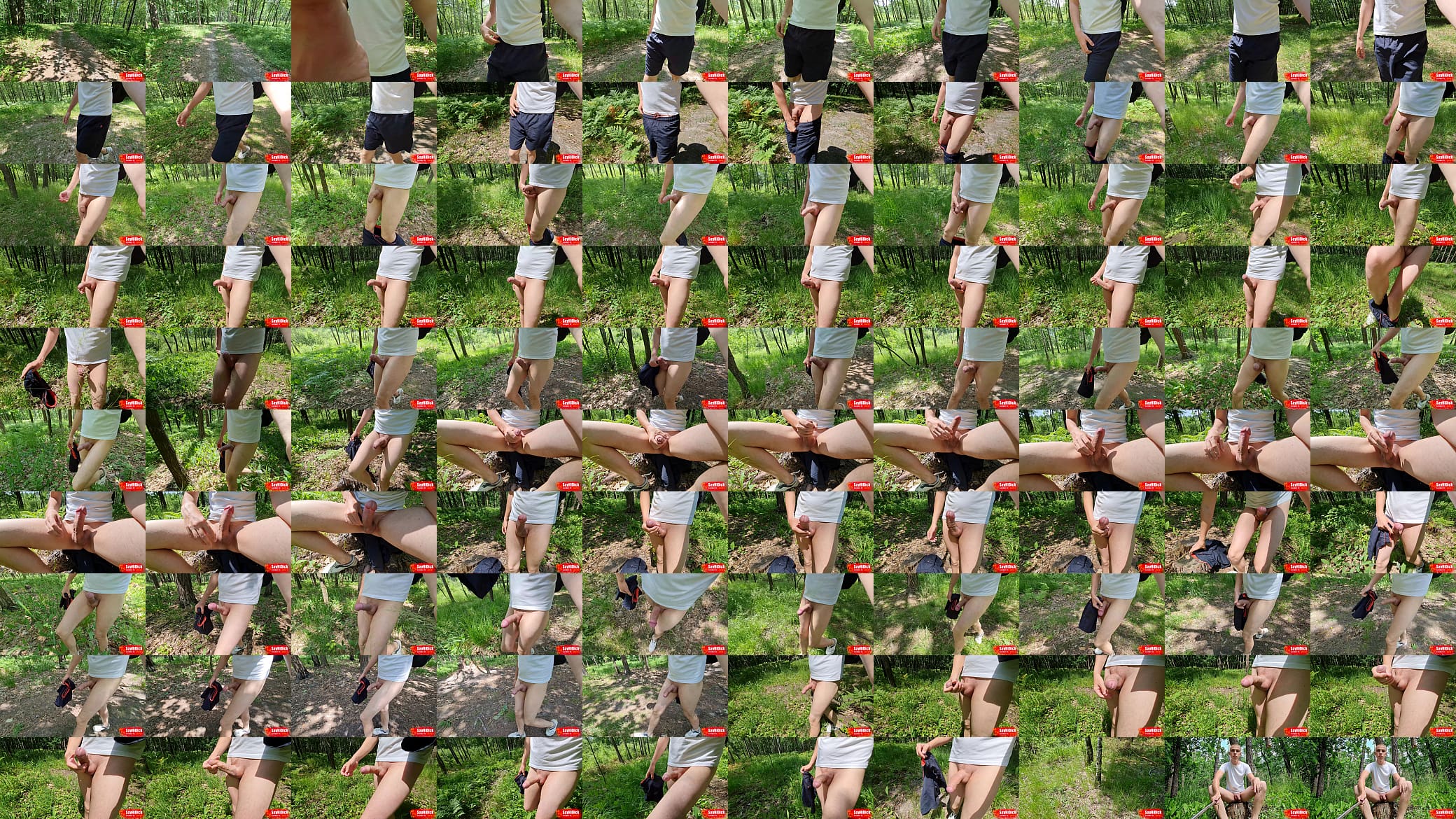 Walking naked in the woods. Soft foreskin to hard big cock Mikel 预览图