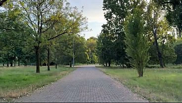 Download Video - Hardcore public sex outdoors&colon; a couple in the park