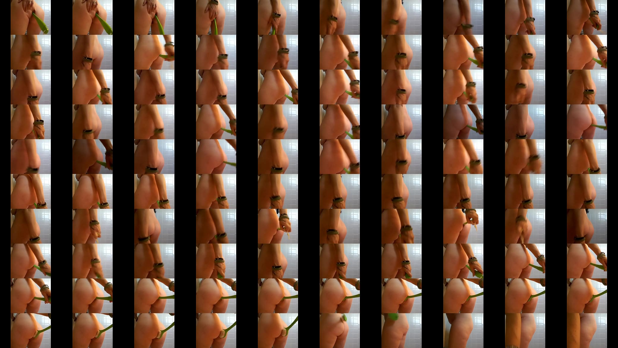 Shitty brush anal 预览图