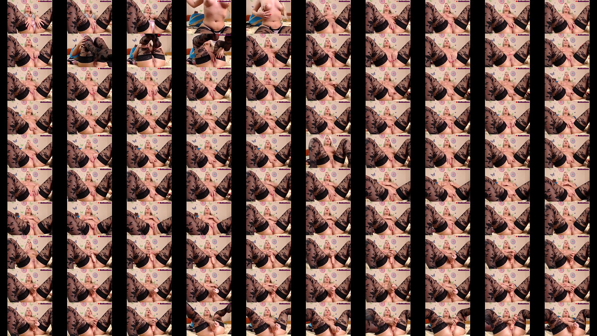 web 1072 预览图