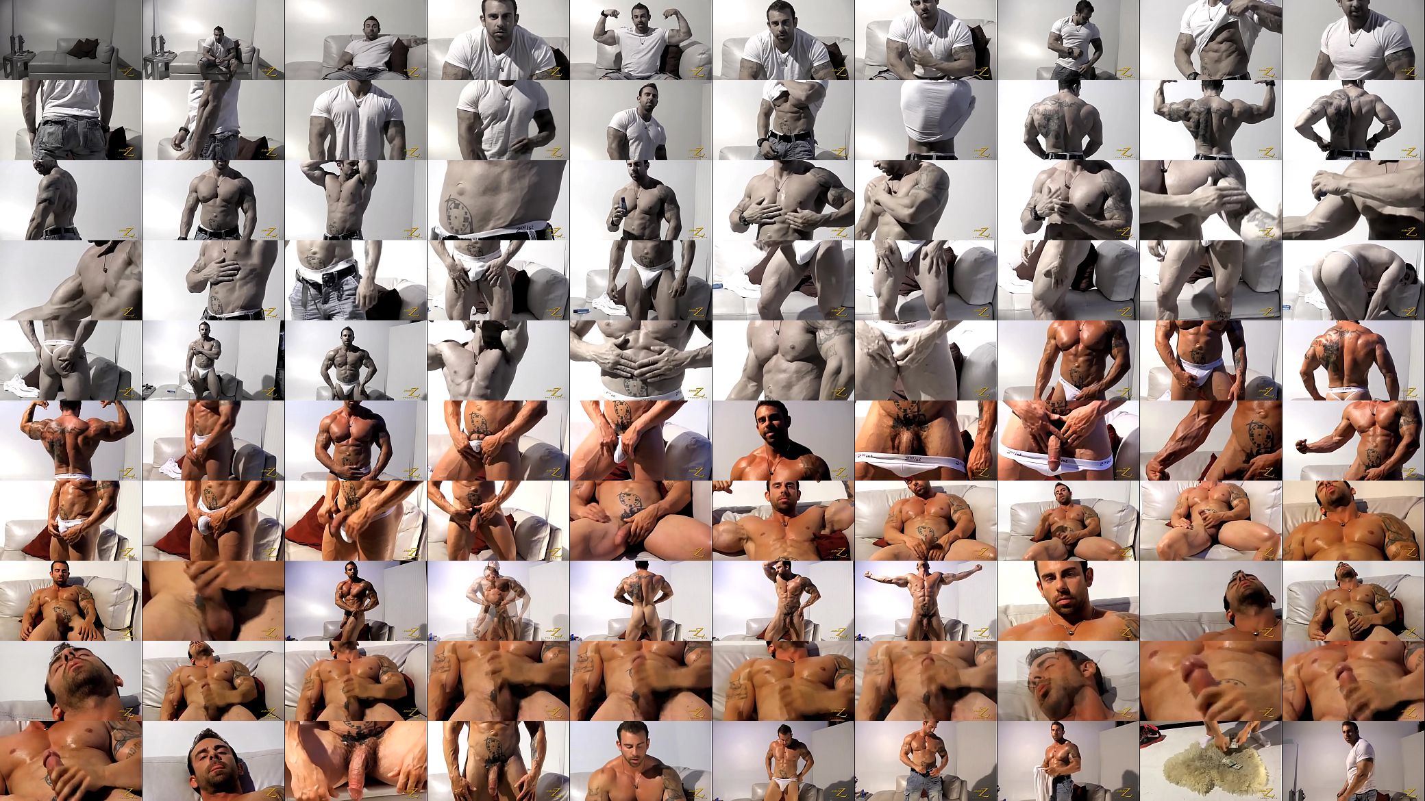 Xaver Muscled 预览图