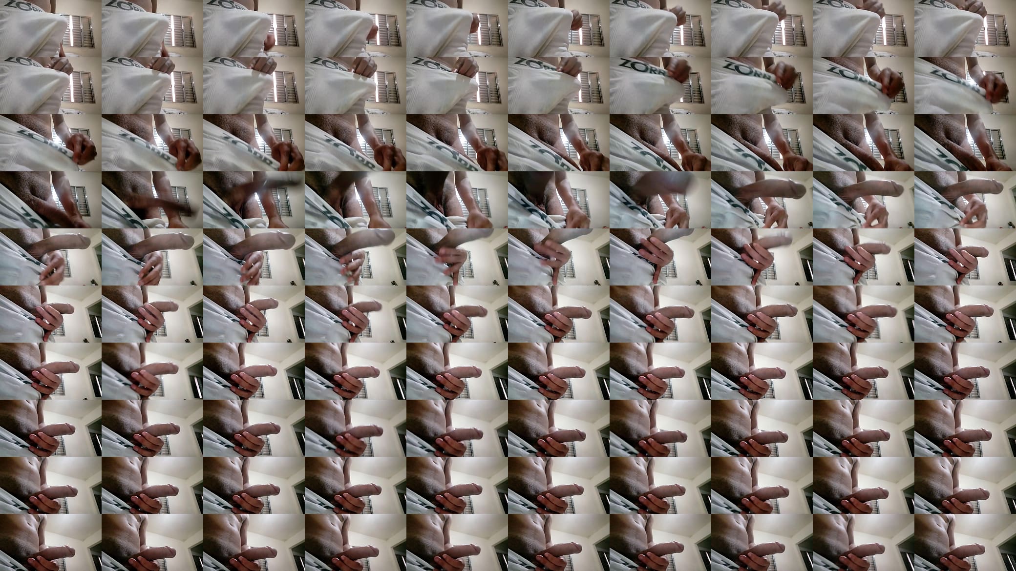 Pauduro 2 预览图