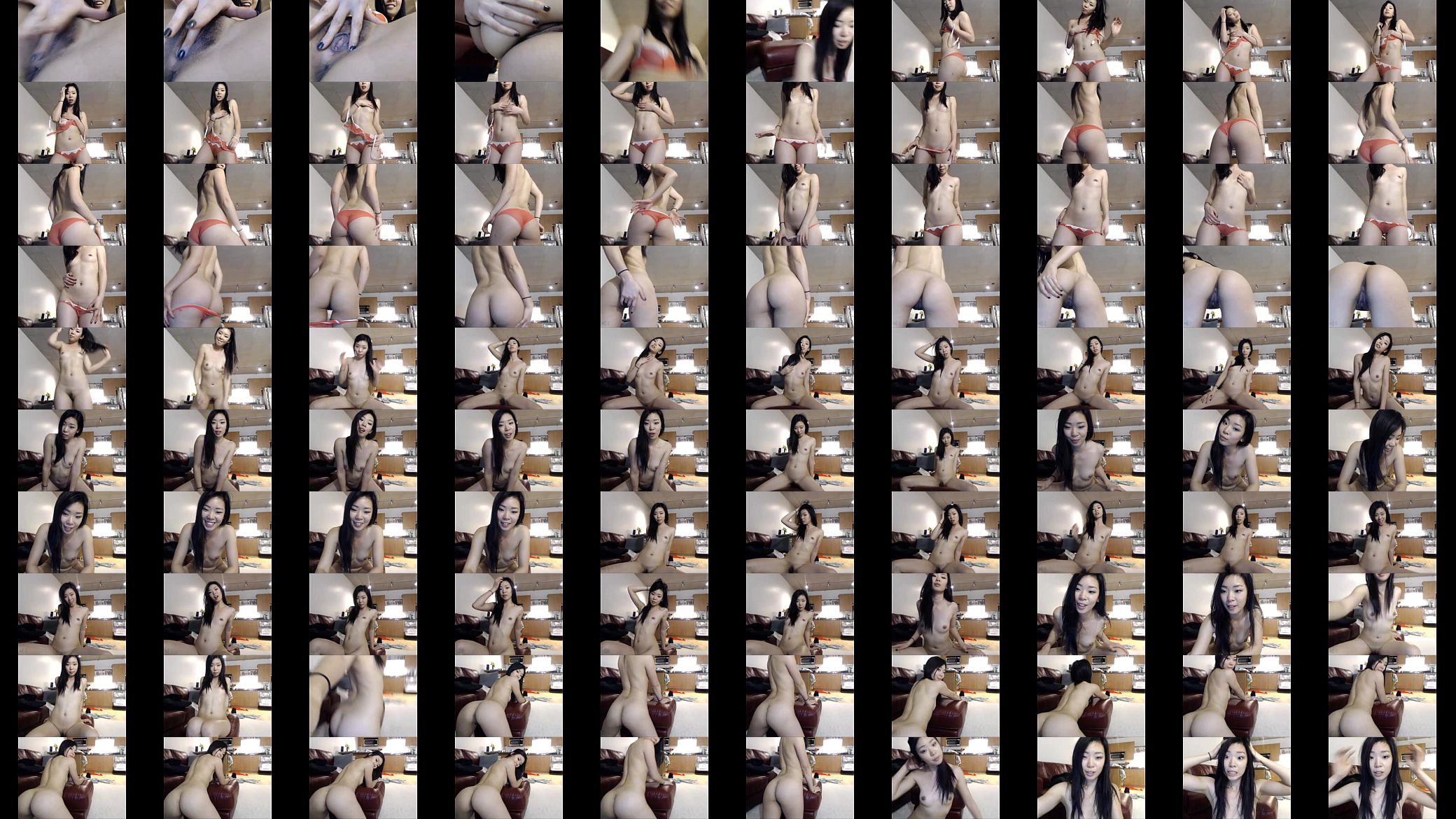 Vietnamese Webcam 预览图