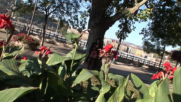 Beauty gives a blowjob outdoor