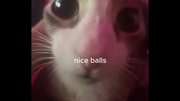  Nice Balls