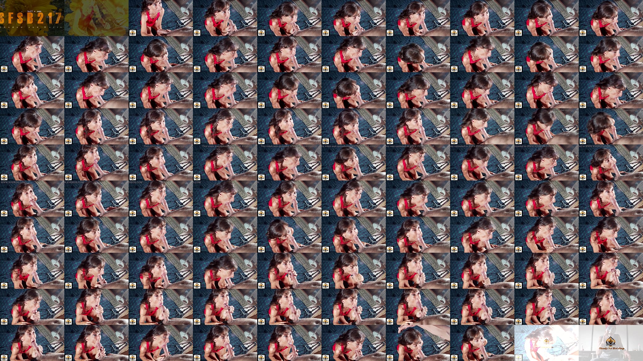 Sexy Milf Marie Is A Cock Sucking Lovely 预览图