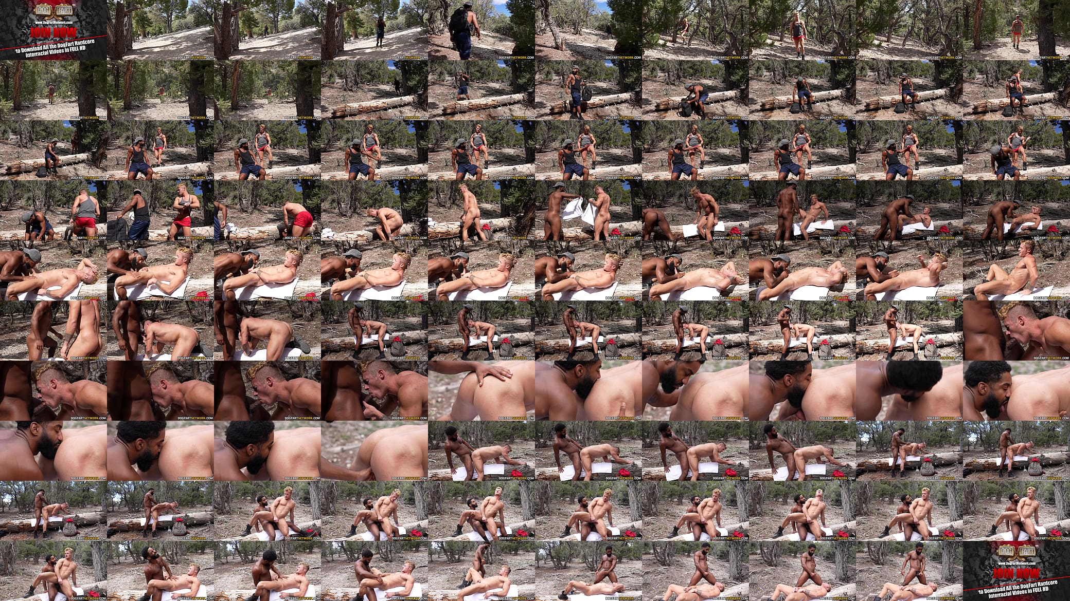 BlacksOnBoys - Jock Hikers Meet Up In The Woods For A Quick Interracial Fuck 预览图