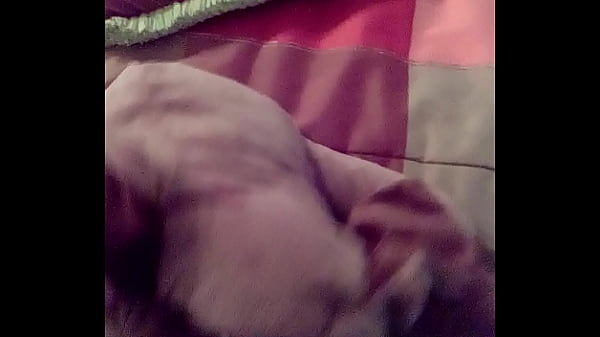 Doggy style with a fat as bad bitch
