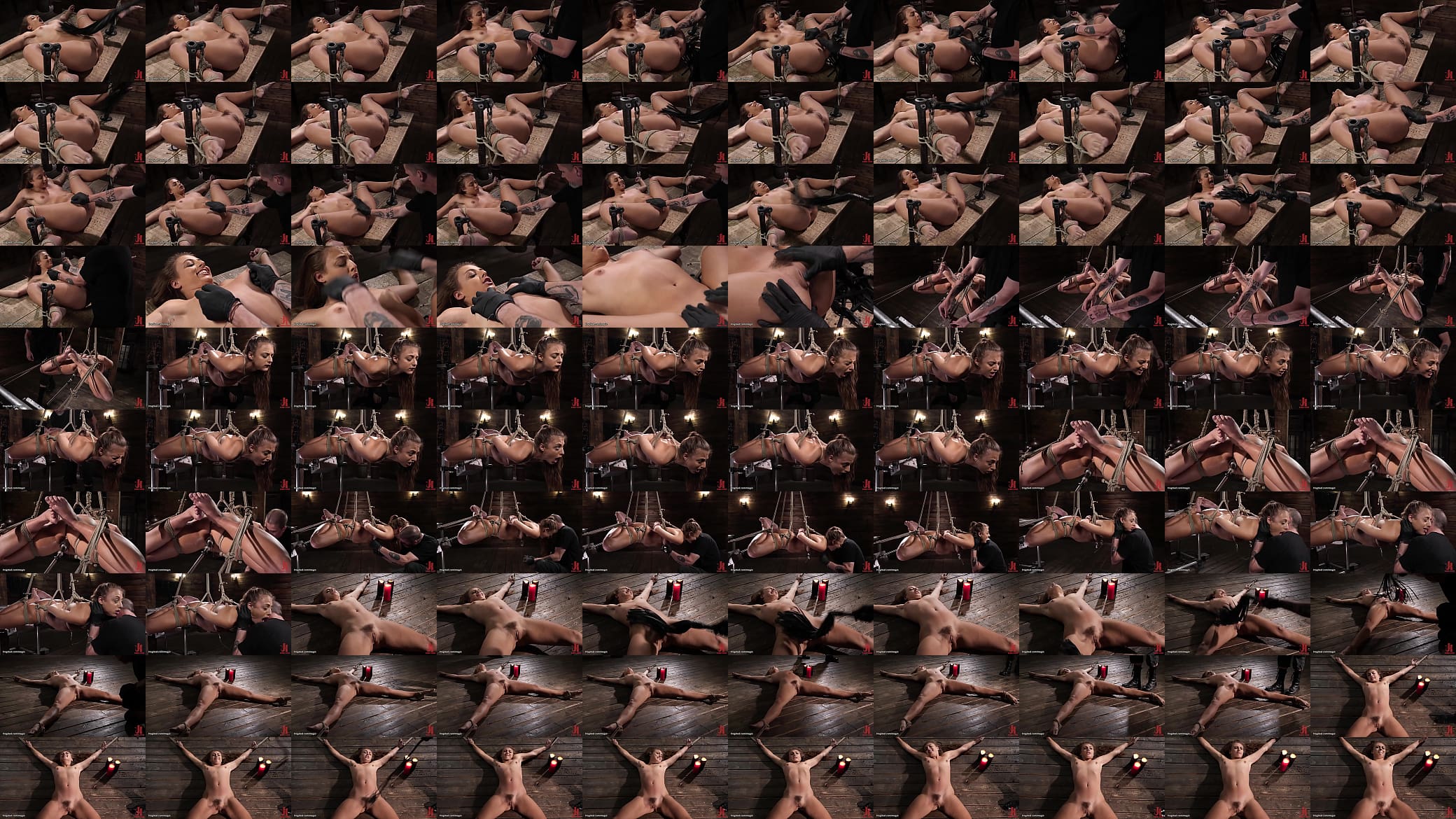 Hogtied in the air and machine fucked 预览图