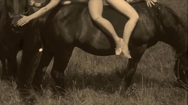 Dark Lantern Entertainment presents 'Women With Animals'