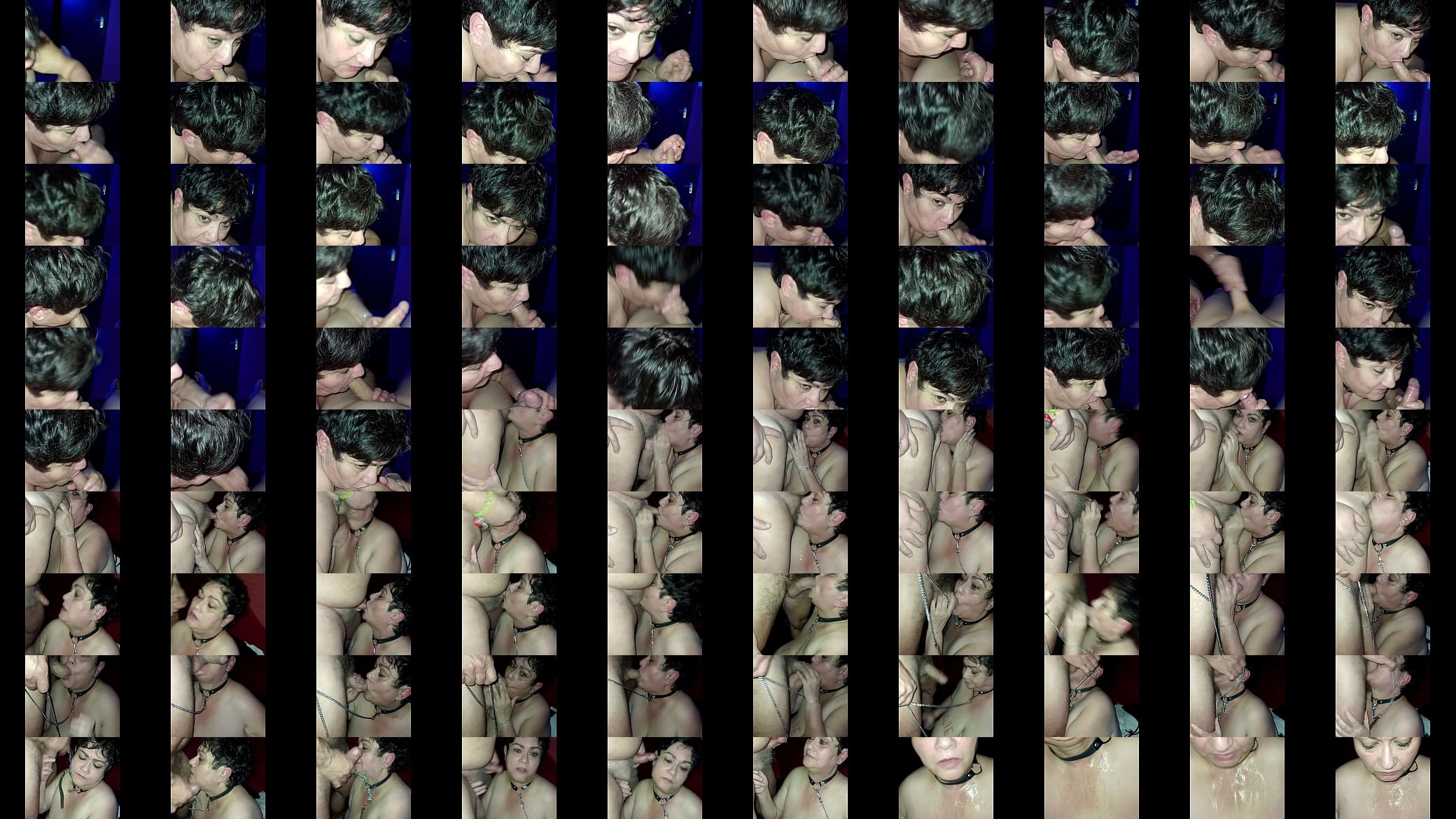 2025 11 14 Chienne Marie offerte au club le Paradis 预览图