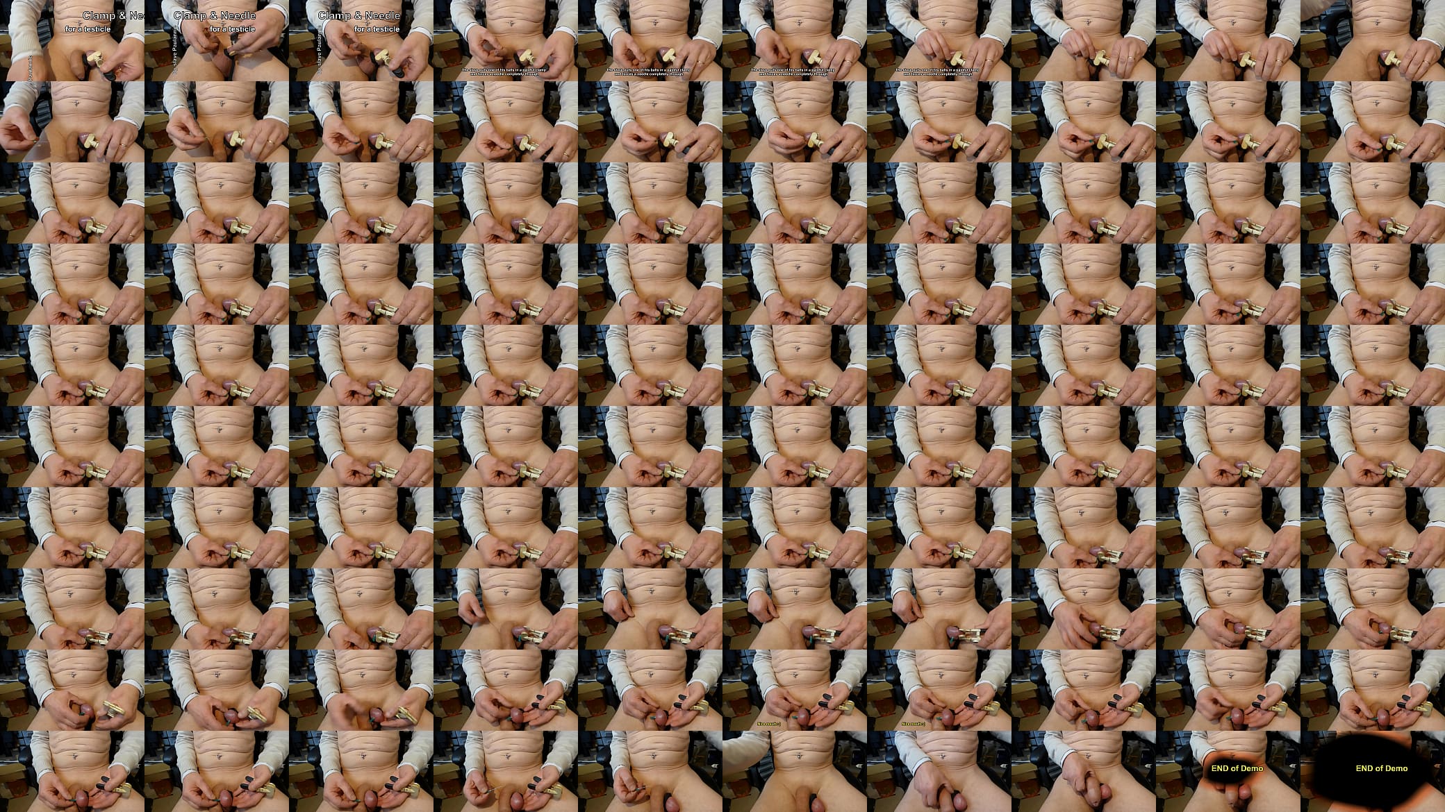 A for Paulannie&#039;s clamped testicle 预览图