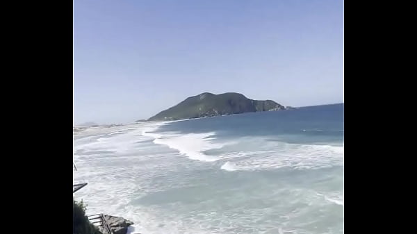 O que vocês acham do meu quintal???