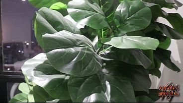 Debutant BBC Lovers Gets Their Holes Filled Trailer