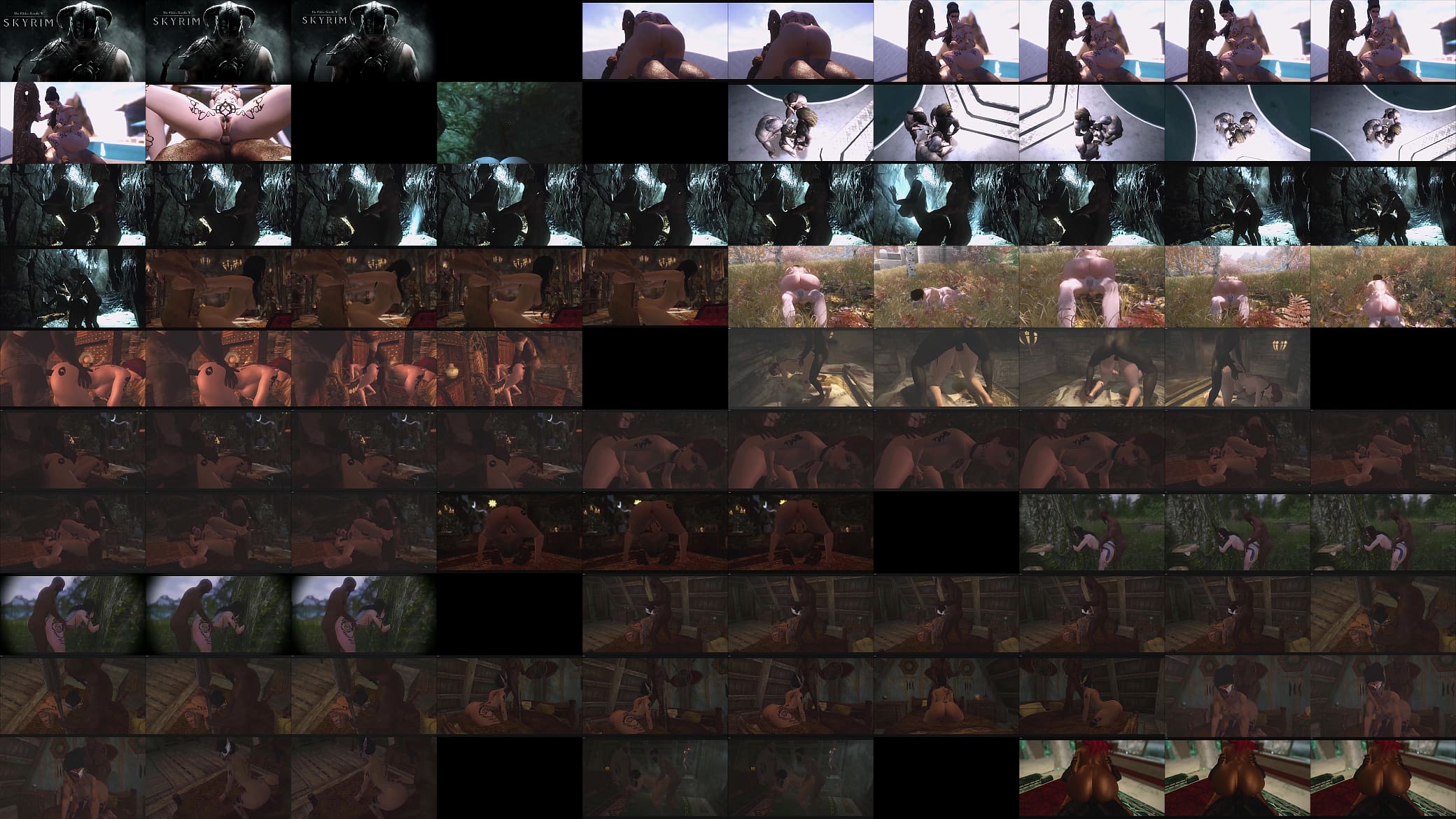 SKYRIM SEX COMPILATION 预览图