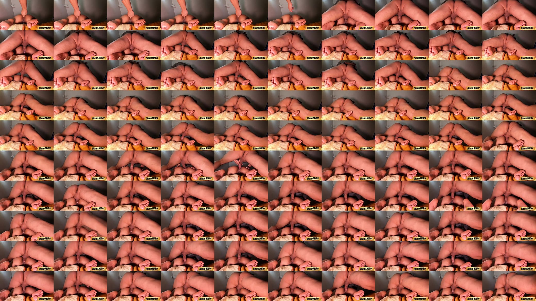 Lets Try Anal 预览图