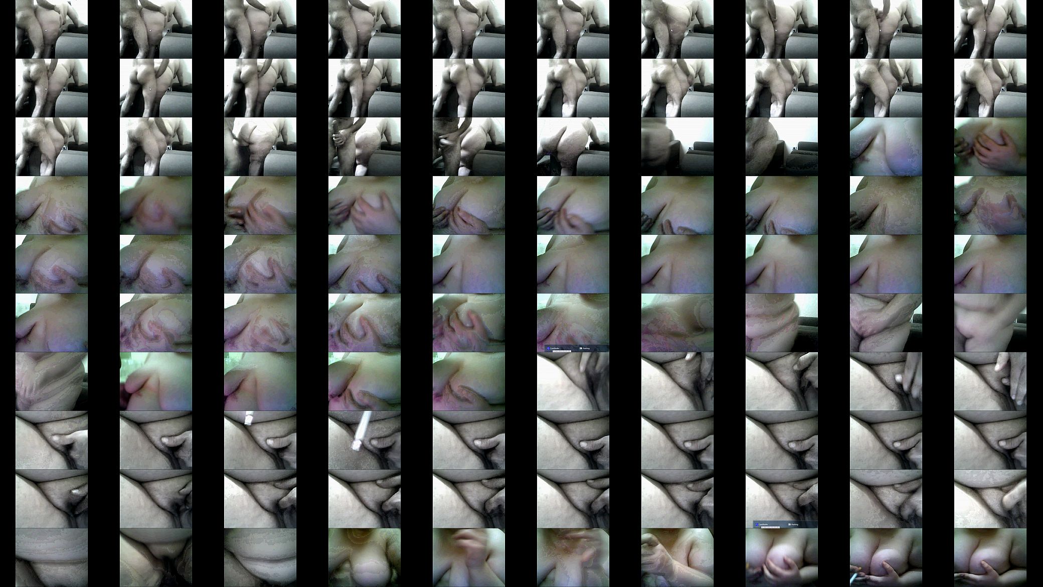 turkis ayiiiiiiiiiiii 预览图