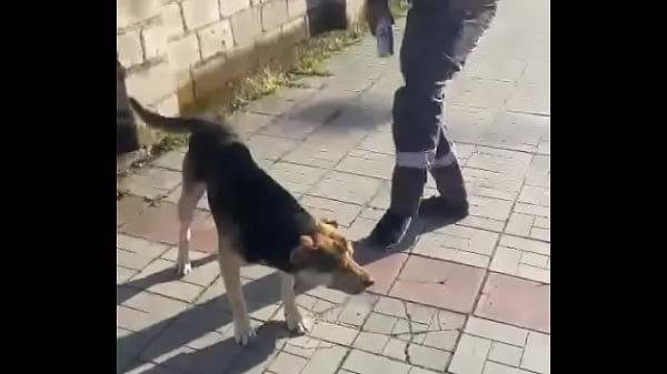 Видео для верификации