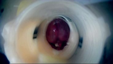 ma bite PULSE à l'intérieur vue endoscopique - 2 cum - double cum crampie - intern camera