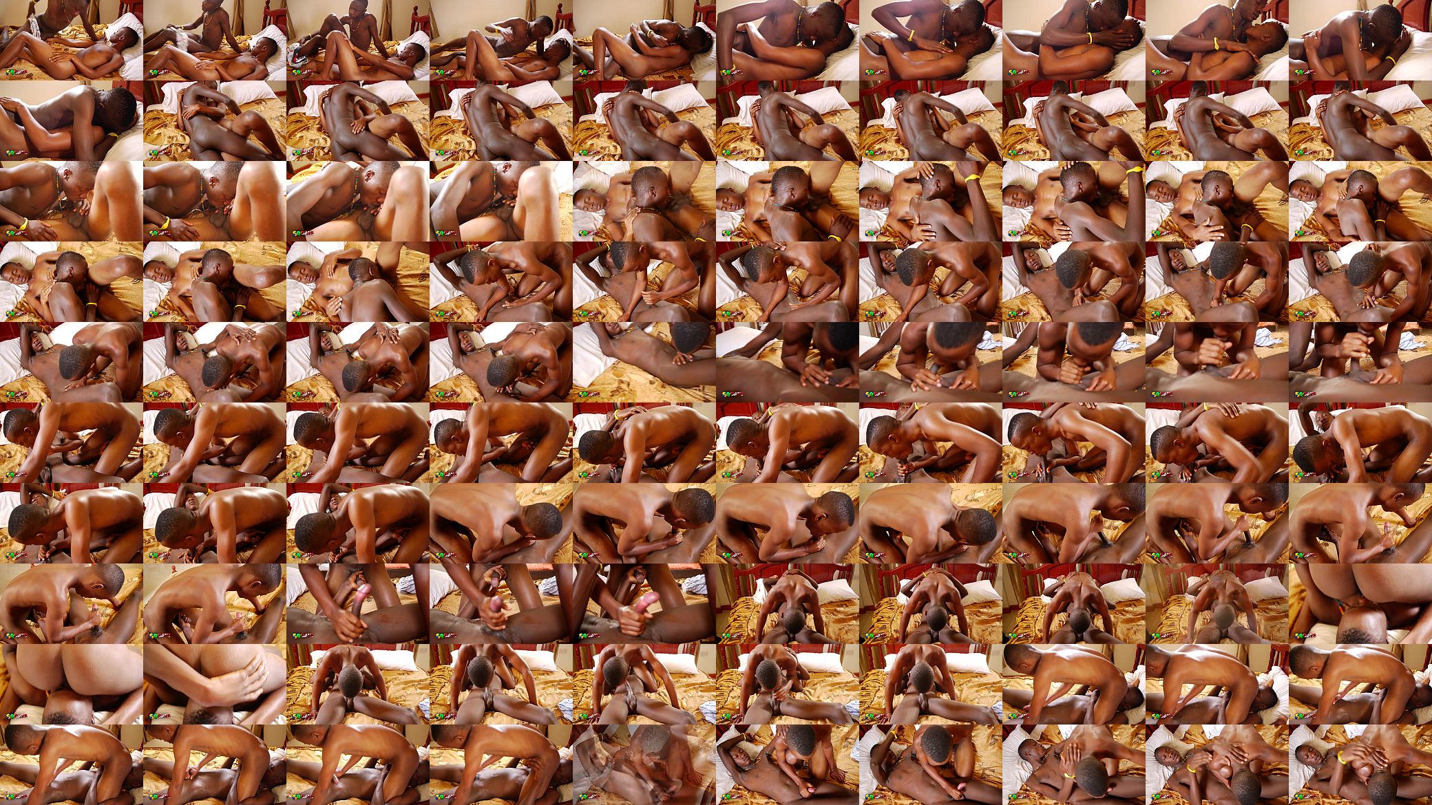 African Black Twinks on 69 预览图