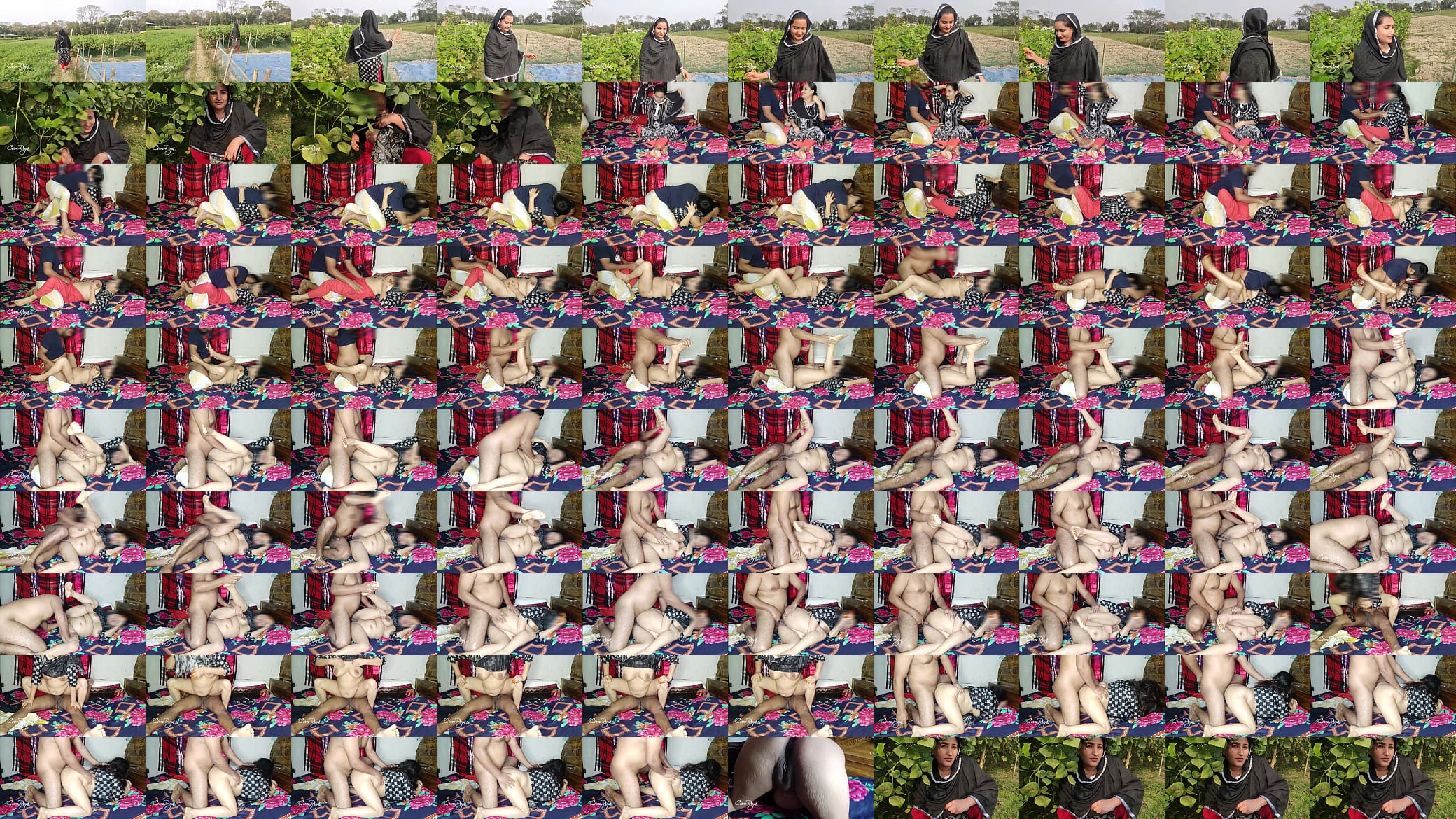 Real Village Bhabhi Outdoor Sex 预览图