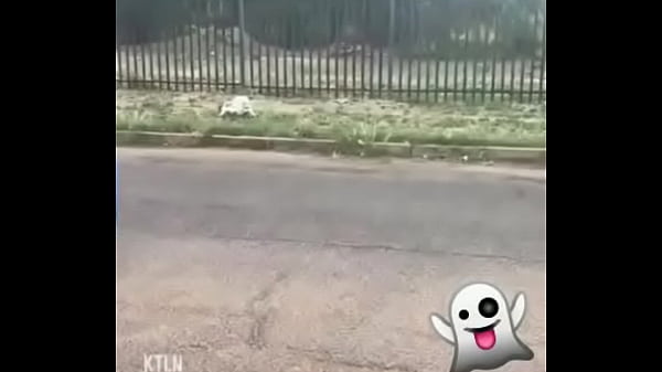 Only de Bella delphine completo en: https://www.xvideos.com/video61835481/belle delphine fudendo gostoso en